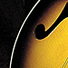 Image of Mandolin Ad for Hoshino